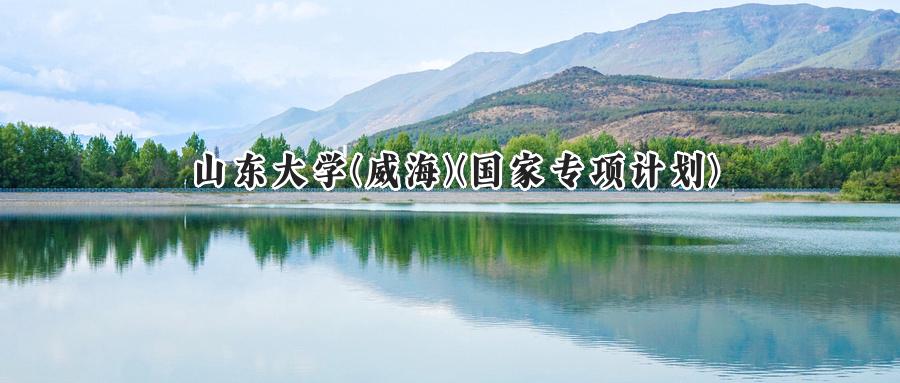 山东大学(威海)(国家专项计划)