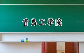 2024青岛工学院录取分数线：河南最低416分