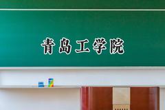 2024青岛工学院录取分数线：河南最低416分