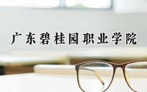 2024广东碧桂园职业学院录取分数线：河南最低165分
