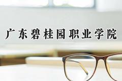2024广东碧桂园职业学院录取分数线：河南最低165分