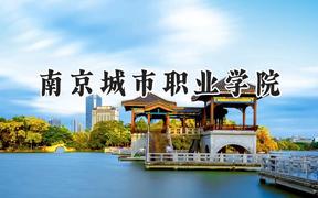 2024南京城市职业学院录取分数线：河南最低386分