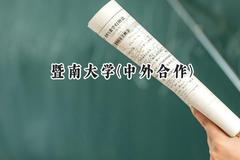 2024暨南大学(中外合作)录取分数线：河南最低584分