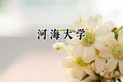 2024河海大学录取分数线：云南最低583分