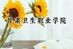2024甘肃卫生职业学院录取分数线：云南最低385分