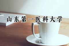 2024山东第一医科大学录取分数线：陕西最低447分