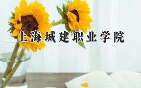 2024上海城建职业学院录取分数线：河南最低359分