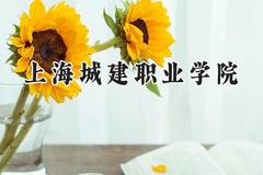2024上海城建职业学院录取分数线：河南最低359分