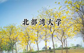 2024北部湾大学录取分数线：河南最低440分