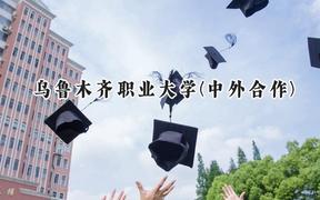2024乌鲁木齐职业大学(中外合作)录取分数线：河南最低193分