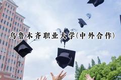 2024乌鲁木齐职业大学(中外合作)录取分数线：河南最低193分