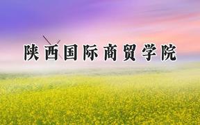 2024陕西国际商贸学院录取分数线：河南最低166分