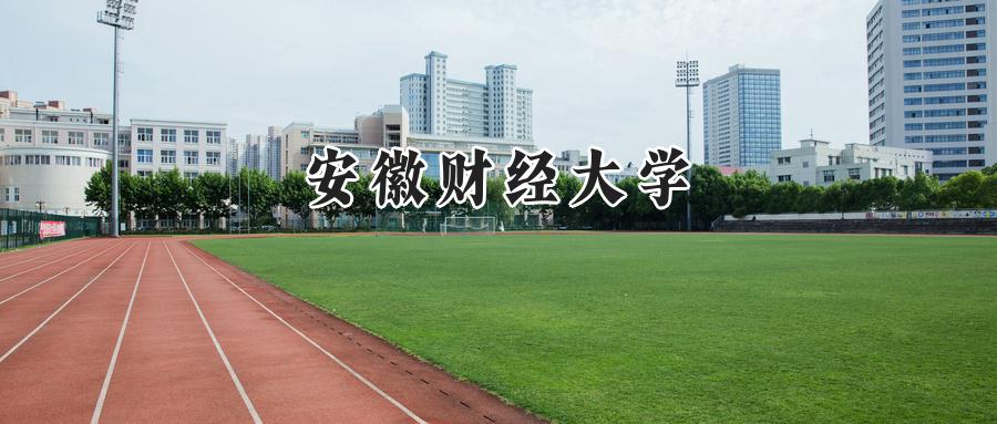 安徽财经大学