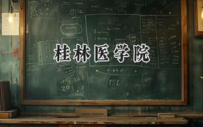2024桂林医学院录取分数线：陕西最低475分