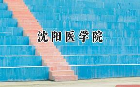 2024沈阳医学院录取分数线：河南最低411分