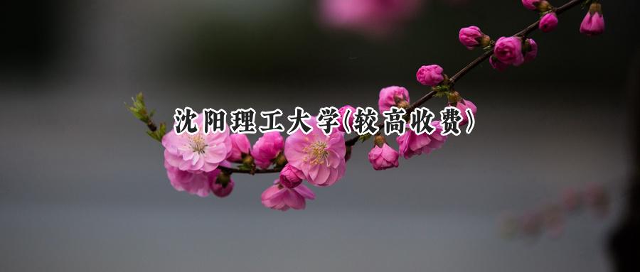 沈阳理工大学(较高收费)