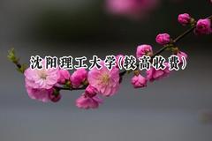 2024沈阳理工大学(较高收费)录取分数线：河南最低479分