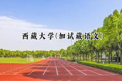 2024西藏大学(加试藏语文)录取分数线：云南最低357分