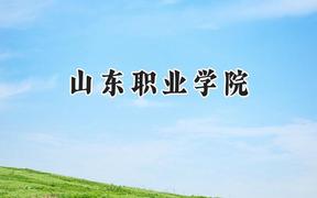 2024山东职业学院录取分数线：云南最低330分