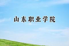 2024山东职业学院录取分数线：云南最低330分