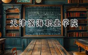 2024天津滨海职业学院录取分数线：陕西最低340分
