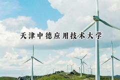 2024天津中德应用技术大学录取分数线：河南最低407分