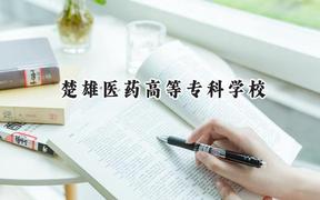 2024楚雄医药高等专科学校录取分数线：云南最低348分