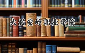 2024大兴安岭职业学院录取分数线：陕西最低342分