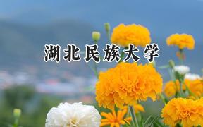 2024湖北民族大学录取分数线：云南最低494分