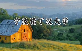 2024宁波诺丁汉大学录取分数线：河南最低534分
