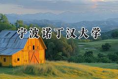 2024宁波诺丁汉大学录取分数线：河南最低534分