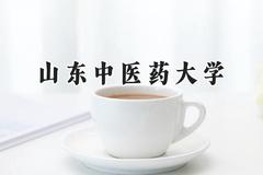 2024山东中医药大学录取分数线：陕西最低463分