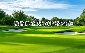 2024陕西理工大学(中外合作)录取分数线：陕西最低480分