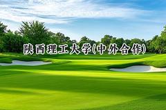 2024陕西理工大学(中外合作)录取分数线：陕西最低480分