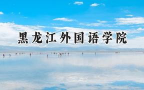 2024黑龙江外国语学院录取分数线：陕西最低394分