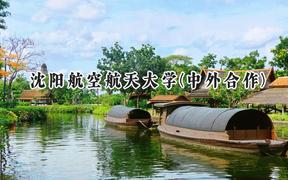 2024沈阳航空航天大学(中外合作)录取分数线：河南最低554分