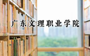 2024广东文理职业学院录取分数线：云南最低261分