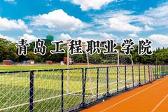 2024青岛工程职业学院录取分数线：云南最低367分