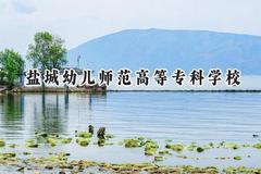 2024盐城幼儿师范高等专科学校录取分数线：河南最低319分