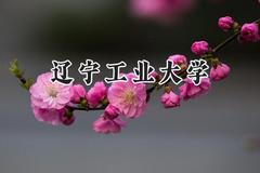 2024辽宁工业大学录取分数线：云南最低497分