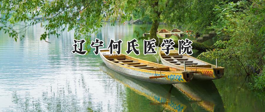辽宁何氏医学院
