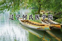 2024辽宁何氏医学院录取分数线：陕西最低418分