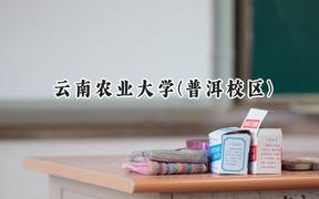 2024云南农业大学(普洱校区)录取分数线：云南最低448分