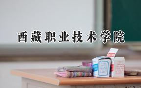 2024西藏职业技术学院录取分数线：河南最低260分