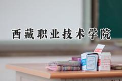 2024西藏职业技术学院录取分数线：河南最低260分