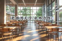 2024北部湾大学(中外合作)录取分数线：云南最低423分