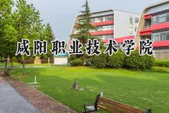 2024咸阳职业技术学院录取分数线：云南最低257分
