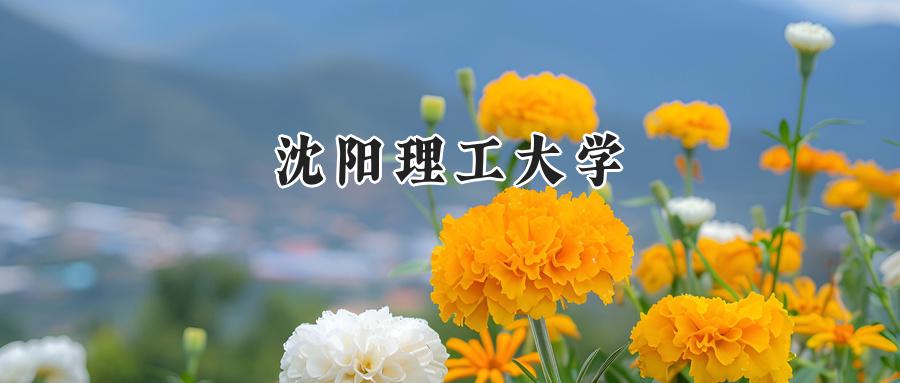 沈阳理工大学