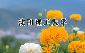 2024沈阳理工大学录取分数线：河南最低513分