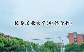 2024长春工业大学(中外合作)录取分数线：河南最低504分